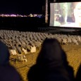 Enfant de Canal +, le Festival de Cannes me fascine depuis mon plus jeune âge. Mais je ne sais pas ce qui opérait à l'époque. La première fois que je suis venue ici, je sais ce qui m'a fascinée. Au...