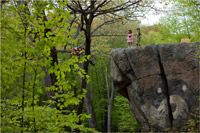 Moonrise Kingdom, en compétition au 65e Festival de Cannes