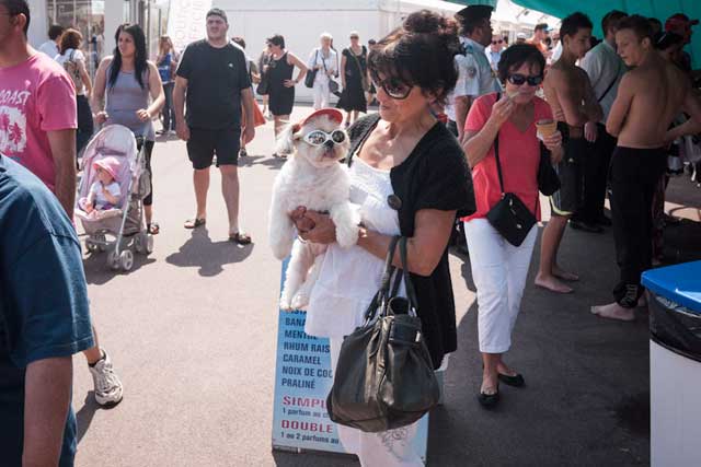 Petit chien cannois (c) Cannes Snapshots