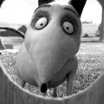 Court-métrage de jeunesse voué aux gémonies par Disney, <em>Frankenweenie</em> déroule, trente ans plus tard, sa version longue... Alléluia !