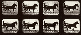 La chronophotographie d'Eadweard Muybridge