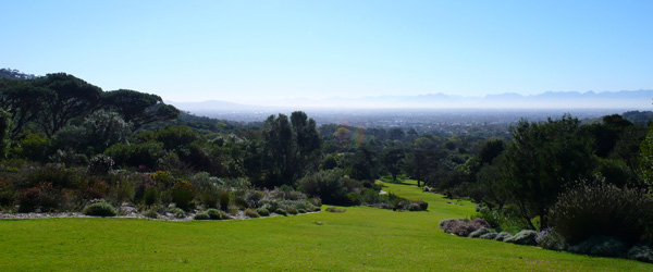 Le jardin botanique de Capetown