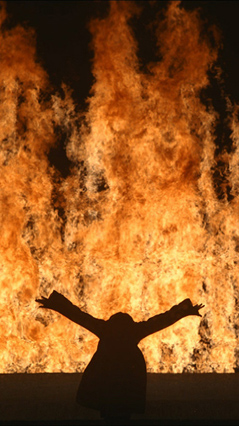 Fire woman de Bill Viola