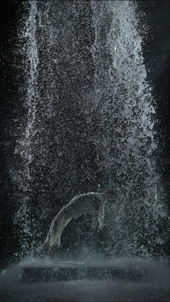 Bill Viola