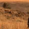 On a vu <em>The Salvation</em> au Festival de Cannes. Mads Mikkelsen en cow-boy. On vous donne cinq bonnes raisons d'aller voir le film de Kristian Levring quand il sortira le 5 novembre prochain.