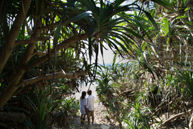 Still the Water, de Naomi Kawase