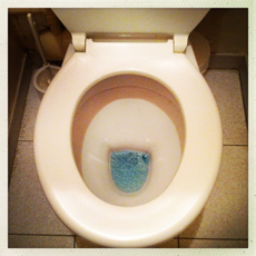 Toilettes cannoises
