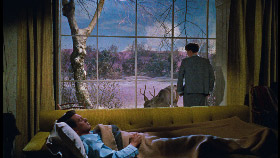 Tout ce que le ciel permet, de Douglas Sirk