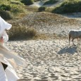 Jeanne entend sa voie 1425, Domrémy dans les Vosges (en fait sur les plages du nord de la France, photogéniques au possible). Une petite fille de 8 ans chantonne entre...